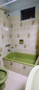 ein Badezimmer mit grüner Badewanne und WC in der Unterkunft DEPARTAMENTO CAROL in Concordia