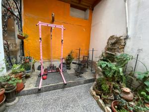 una habitación con macetas y un gimnasio rosa en Mindepartamento Céntrico, en Cajamarca