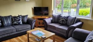 a living room with two couches and a tv at Reed Warbler Cottage in Ballinrobe