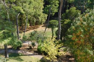 an overhead view of a forest with trees and grass at Standing T2 Domaine des palmiers air-conditioned with parking and pool in Cannes