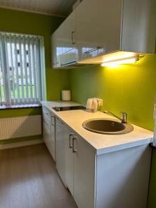uma cozinha com um lavatório e uma parede verde em Viesnīcas Jolanta apartamenti em Kolberģi