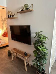 een woonkamer met een flatscreen-tv en een plant bij Studio « L’instant présent » balnéothérapie in Gaillac