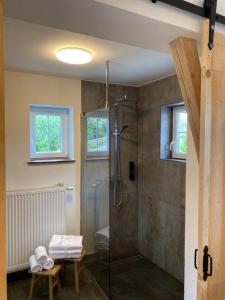 a bathroom with a shower with a glass door at TinyLoft in Bad Teinach-Zavelstein