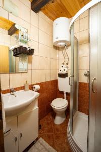 y baño con aseo, lavabo y ducha. en Kuća za odmor Poljanica Okićka, en Jastrebarsko