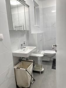 ウィーンにあるViviane Paulos Apartment - Stylish apartment at Wienerbergの洗面台とトイレを備えた白いバスルーム