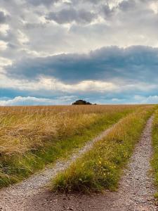 Paesaggio naturale nelle vicinanze della villa