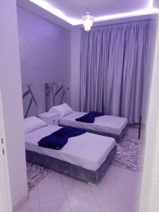 two beds in a room with purple walls and curtains at أكادير حي السلام in Agadir