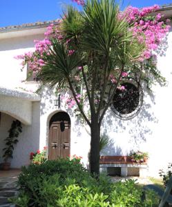 カザルボルディーノにあるIl Tremolar Della Marinaのピンクの花の咲く建物の前のヤシの木