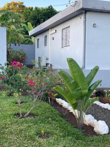 um jardim em frente a um edifício branco em Résidence Lilas Rose em Andilana