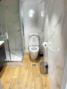 a bathroom with a toilet and a shower at 2 Bedroom Family Apartment with Free Parking in Thessaloniki