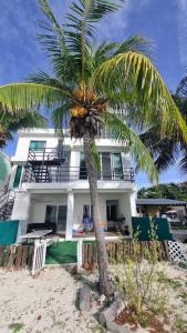 a palm tree in front of a house on the beach at Villa on The Beach Seaside Sunrise Haven 7 bedroom in Cancún