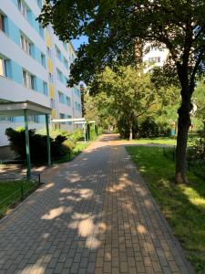 ceglany chodnik przed budynkiem w obiekcie Pokój w Wilanowie w Warszawie