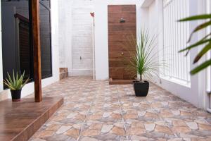 un couloir avec des plantes en pot au sol dans l'établissement Habitaciones privadas, Casa de Amber, Manta, à Manta