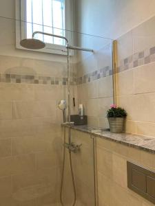 een douche in een badkamer met een glazen deur bij Holiday accomodation Coglio in Maggia