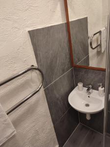 un bagno con lavandino e specchio di CHESS Apartment a Ventspils