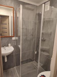 un bagno con doccia e lavandino di CHESS Apartment a Ventspils