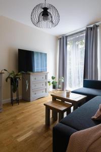 - un salon avec un canapé et une télévision dans l'établissement Thomahome cosy&stylish apartment, à Édimbourg