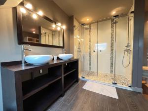 a bathroom with two sinks and a shower at La Villa Maignan - Centre ville - Jardin - 15p in Le Mans