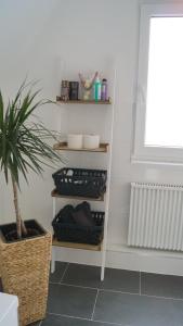 a room with a plant and shelves and a window at Ferienwohnung Siegen in Siegen