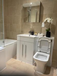 a bathroom with a toilet and a sink and a mirror at The Retreat at Harlow in Potter Street