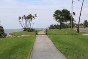 een stoep naast de oceaan met palmbomen bij Comfort Suites Clearwater - Dunedin in Clearwater