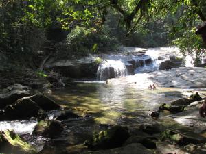 a stream with a waterfall and rocks in a forest at Lepá com Cozinha privativa in Boicucanga