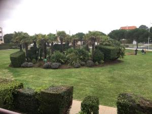 un parc verdoyant avec des palmiers et des buissons dans l'établissement Appartement location Vaux sur Mer plage à partir de 4 nuits minimum, à Vaux-sur-Mer