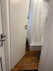 eine offene Tür zu einem Bad mit einer Dusche in der Unterkunft Modernes Appartement Sauerland in Hachen
