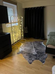ein Wohnzimmer mit einem Teppich auf dem Boden in der Unterkunft Modernes Appartement Sauerland in Hachen