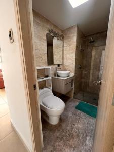 uma casa de banho com um WC, um lavatório e um chuveiro em Apartamento movistar Arena-Estadio El Campin-galerías con garaje 2 a 6 personas em Bogotá