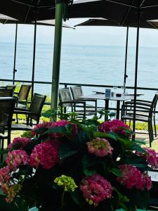 un ramo de flores sentado en una mesa cerca del océano en Hôtel de la Plage à Gland, en Gland
