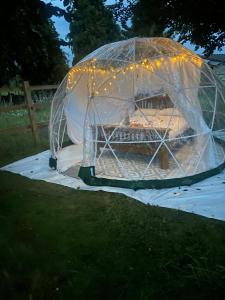 igloo con luci in cortile di Country Bumpkins Luxury Igloo a Wellingore