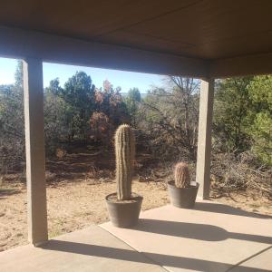 two cactuses in pots sitting on a porch at Anasazi Retreat 