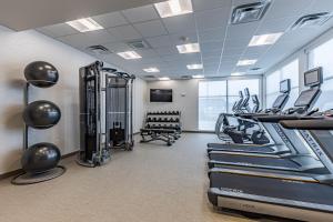 a fitness room with treadmills and cardio equipment at SpringHill Suites by Marriott Detroit Sterling Heights in Sterling Heights
