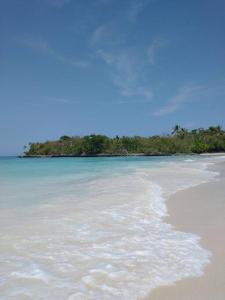 einen Strand mit Wasser und Bäumen im Hintergrund in der Unterkunft Quédate Aquí in Las Galeras