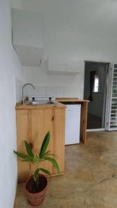 a kitchen with a sink and a potted plant at Quédate Aquí in Las Galeras +33 photos