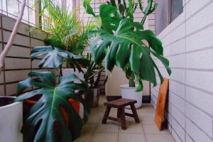 Fotografie z fotogalerie ubytování MUSEaUM 沐洋人 v destinaci Hengchun Old Town