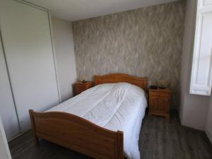 1 dormitorio pequeño con 1 cama y 2 mesitas de noche en Appartement Bagnères-de-Luchon, 2 pièces, 6 personnes - FR-1-313-226, en Luchon