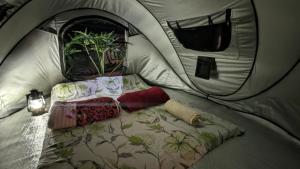 Un pat sau paturi într-o cameră la Farmstay Manangel