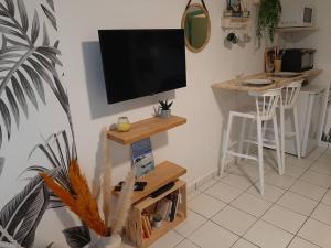 TV a/nebo společenská místnost v ubytování Studio cosy à Bas-du-Fort