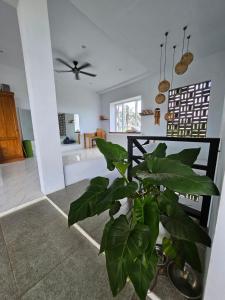 Fotografie z fotogalerie ubytování BOARD HOUSE KEDUNGU v destinaci Tanah Lot