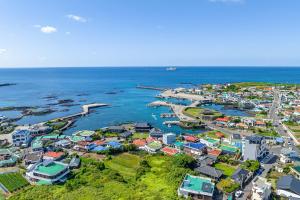 an aerial view of a small town next to the ocean at Haedam House in Jeju