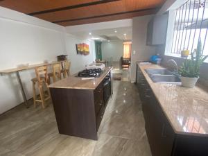 uma cozinha com um lavatório e uma bancada em Hostal Casa Amatista em Pereira