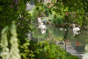Zahrada ubytování B&B Canal Deluxe