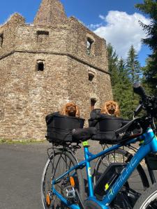 Jazda na bicykli v okolí ubytovania Apartmán u Klínovce