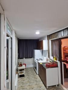 Gallery image of Zavojsko jezero - kuća Mitić in Pirot