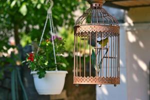 a bird in a cage with a potted plant at Zelena oaza in Škrljevo