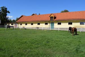dos caballos pastando en un campo frente a un edificio en Zámeček nad Běleckým Mlýnem 