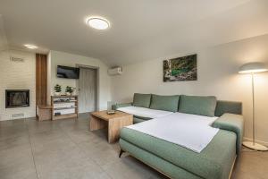 a living room with a bed and a couch at Vineyard Cottage Radovlja With Sauna - Happy Rentals in Smarjeske Toplice