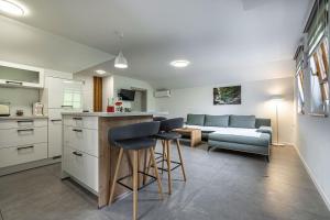 uma cozinha e sala de estar com um sofá e uma mesa em Vineyard Cottage Radovlja With Sauna - Happy Rentals em Smarjeske Toplice